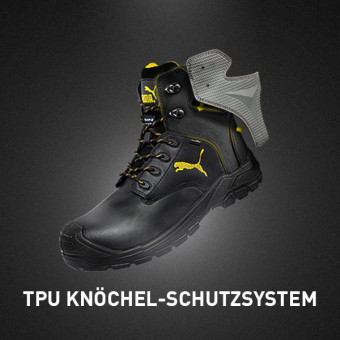 Voorbeeld: BORNEO MT MID Voorbeeld: BORNEO MT MID